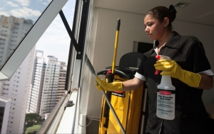 Ministro defende efetivação dos direitos no trabalho doméstico