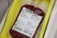 Janeiro é crítico para os bancos de sangue e você pode ajudar a melhorar os estoques. Imagem: Fundação Pró-Sangue do Hemocentro de São Paulo