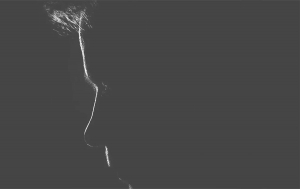 Justiça vê discriminação e anula dispensa de trabalhadora com depressão