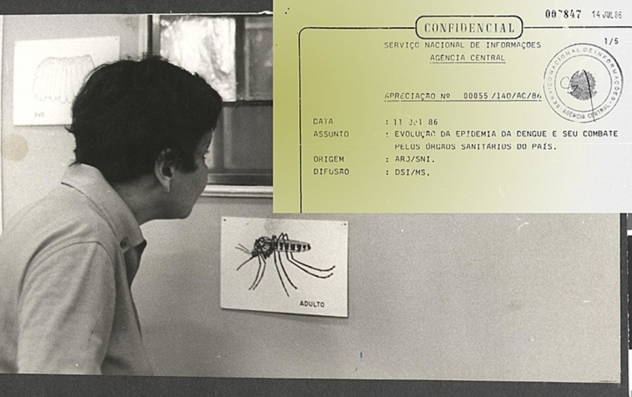 Quase 70 anos depois de já ter conseguido, Brasil tenta erradicar a dengue mais uma vez