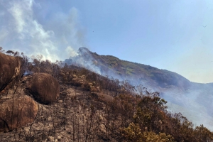 Teresópolis em chamas